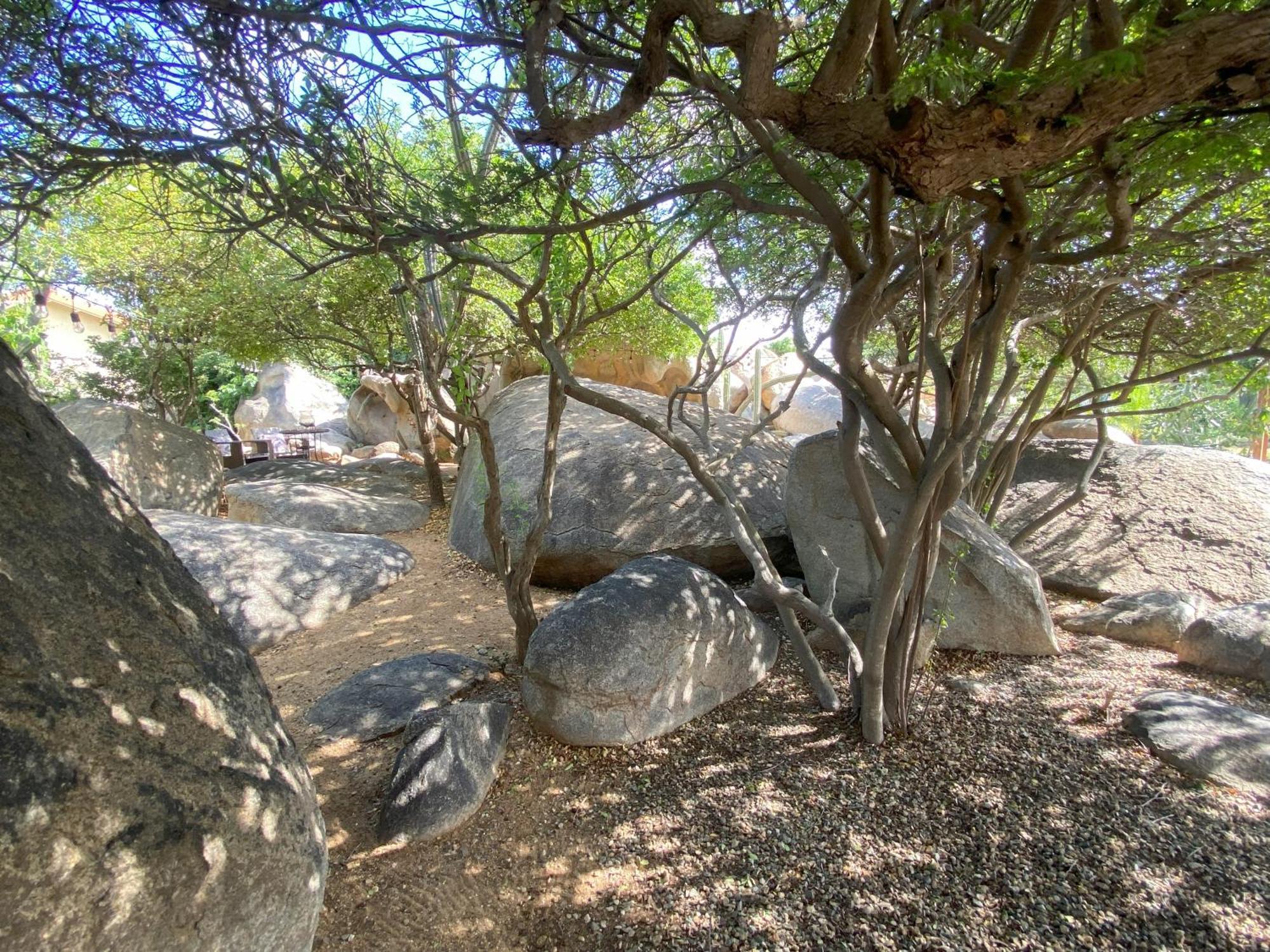 נורד Pura Vida Aruba Appartement Palma מראה חיצוני תמונה
